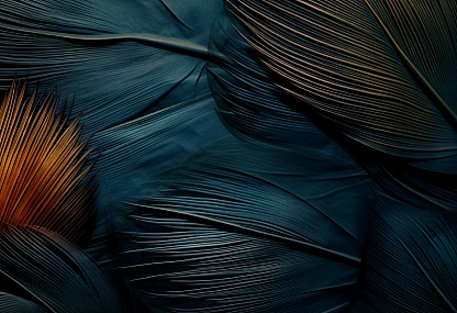 Minimalisme Nuit MN107 125