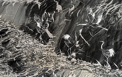 Ornax A MROA106 1342