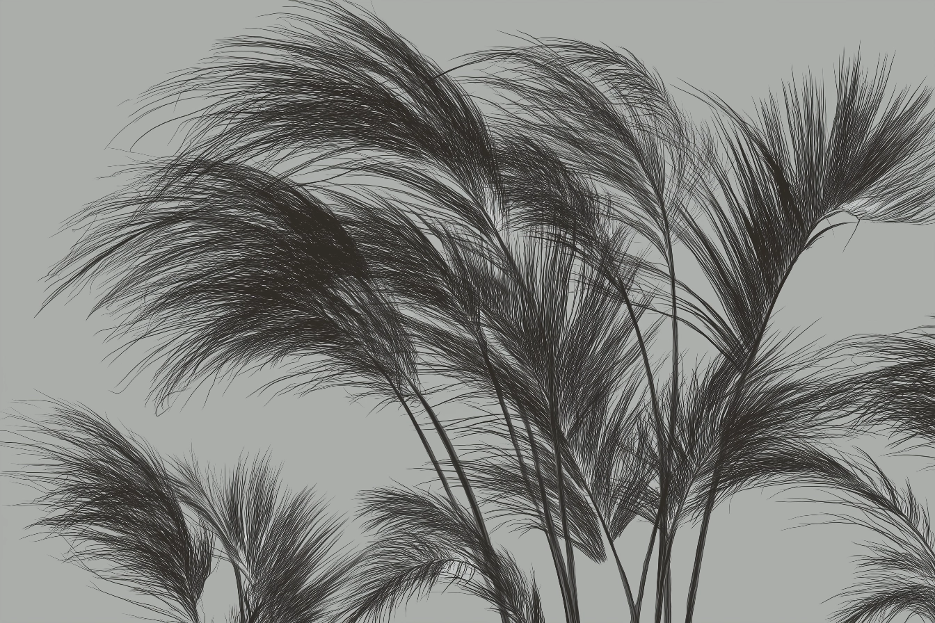 Tendance Plumet TP200 1441